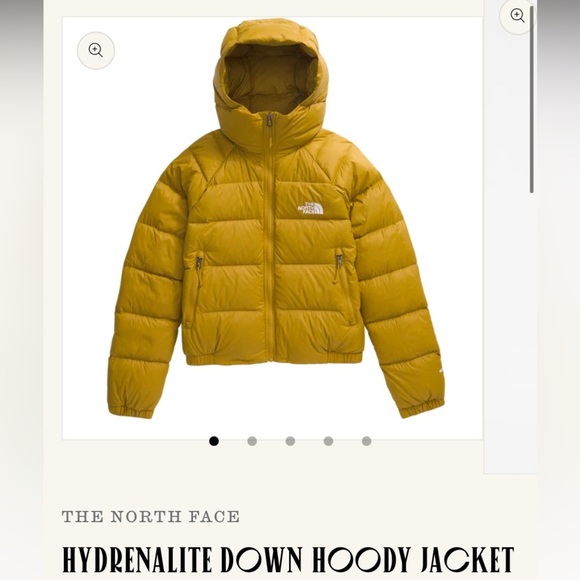 The North Face Women’s Hydrenalite Hooded Jacket Puffer - Picture 7 of 17